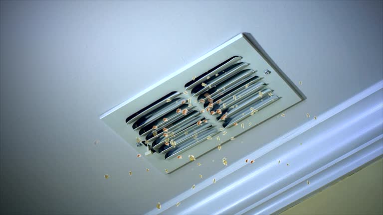 Best Affordable HVAC Duct Cleaning  in Smithfield, NC