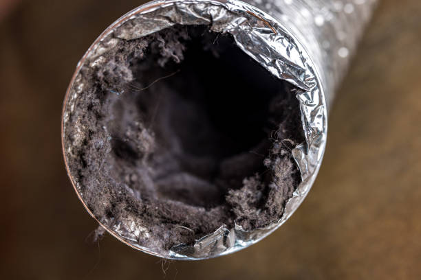 Best Ventilation Cleaning Services  in Smithfield, NC
