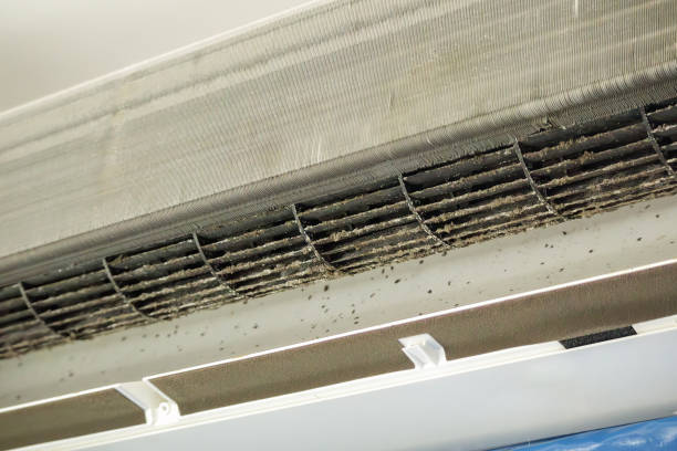 Best Air Duct Mold Removal  in Smithfield, NC